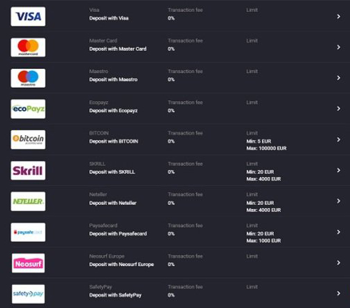 List of payment options including Visa, MasterCard, Bitcoin, and others with transaction details